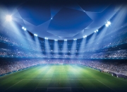 开云APP-跨界传奇，张继科战术点拨助奥地利队完胜瑞典，赛场再现藏獒锋芒