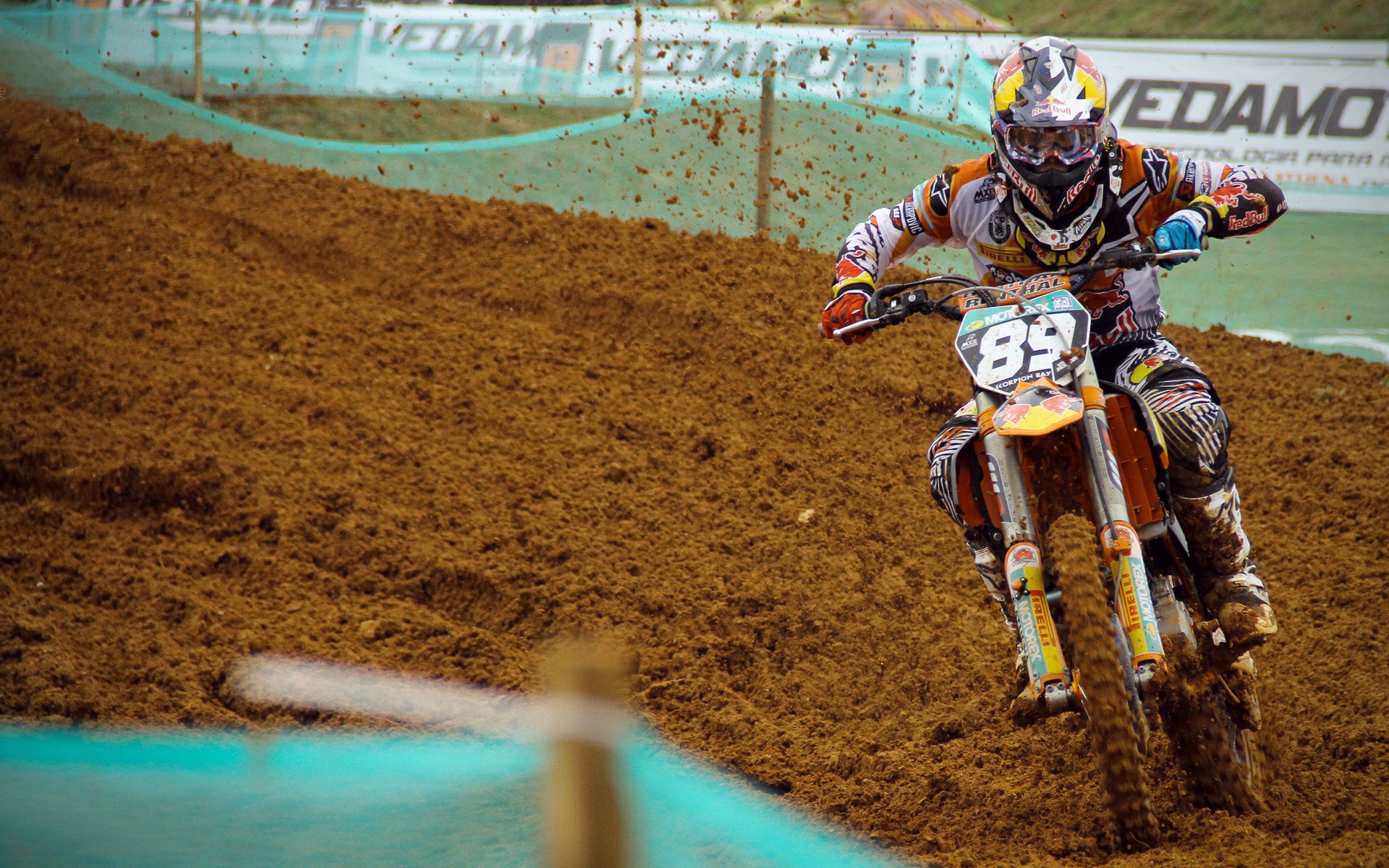 从天空到赛场,当老鹰的利爪遇上华南虎的獠牙,莫兰特在焦点战中完成自我正名